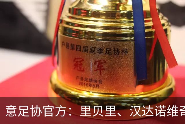 意足协官方：里贝里、汉达诺维奇，迪亚曼蒂等获欧足联职业教练证